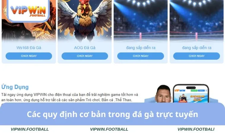 Đá Gà VIPWIN 2 Các quy định cơ bản trong đá gà trực tuyến