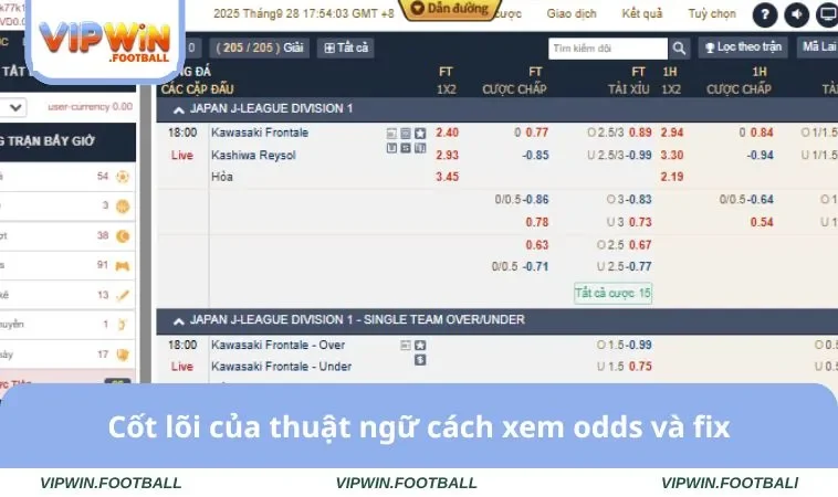 Cách Xem Odds Và Fix Chuẩn Xác Số 1 Trên Nhà Cái VIPWIN 1 Cốt lõi của thuật ngữ cách xem odds và fix