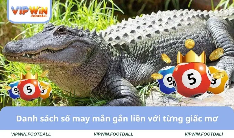 Nằm Mơ Thấy Cá Sấu Và Bí Ẩn Giải Mã Sổ Mơ Phát Tài Lộc 3 Danh sách số may mắn gắn liền với từng giấc mơ