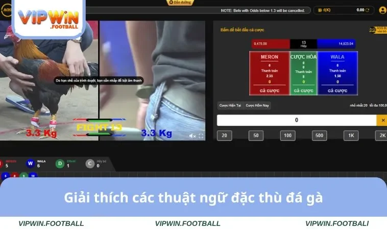 Đá Gà VIPWIN 3 Giải thích các thuật ngữ đặc thù đá gà