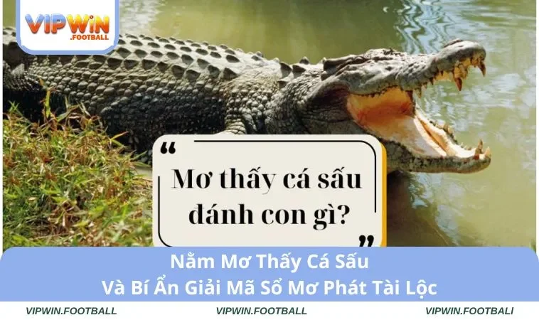 Nằm Mơ Thấy Cá Sấu Và Bí Ẩn Giải Mã Sổ Mơ Phát Tài Lộc