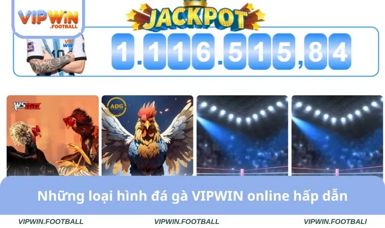 Đá Gà VIPWIN 1 Những loại hình đá gà VIPWIN online hấp dẫn